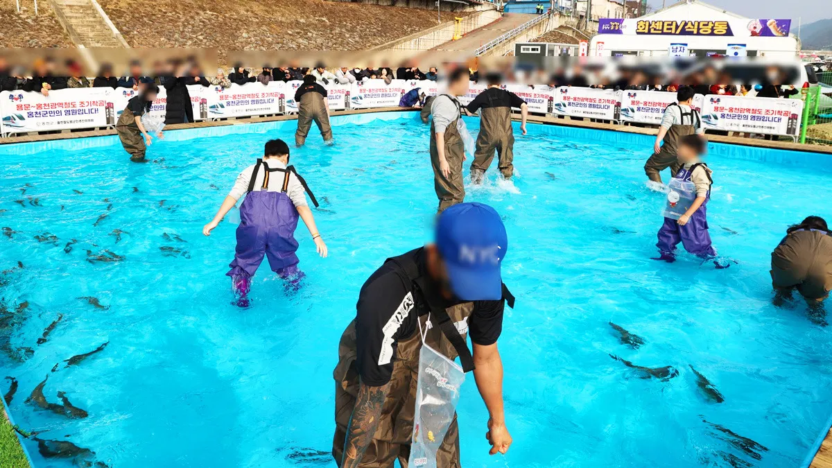 홍천강 꽁꽁축제 맨손인삼송어잡기 / 사진=홍천군 공식블로그