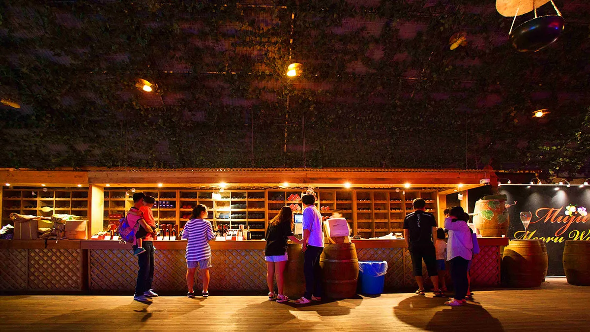 무주 머루와인동굴 와인 시음대 / 사진=무주군청 공식블로그