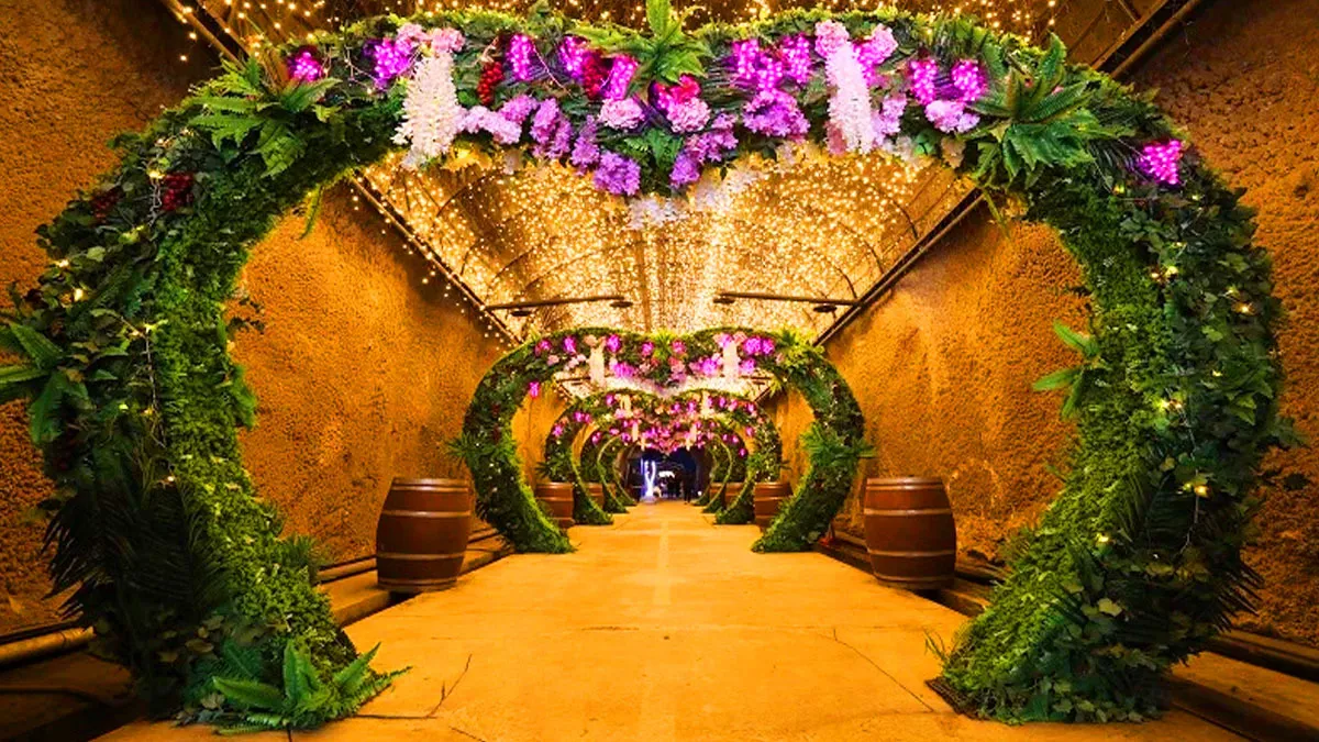 무주 머루와인동굴 터널 / 사진=무주군청