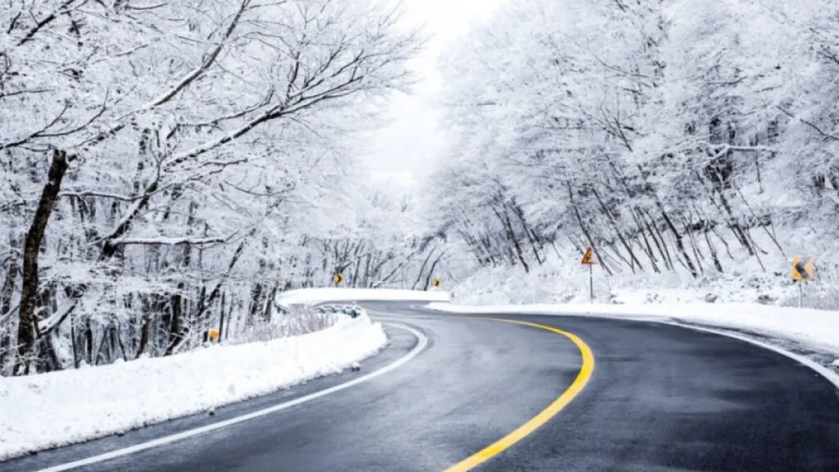 도로 결빙 / 사진=온라인 커뮤니티