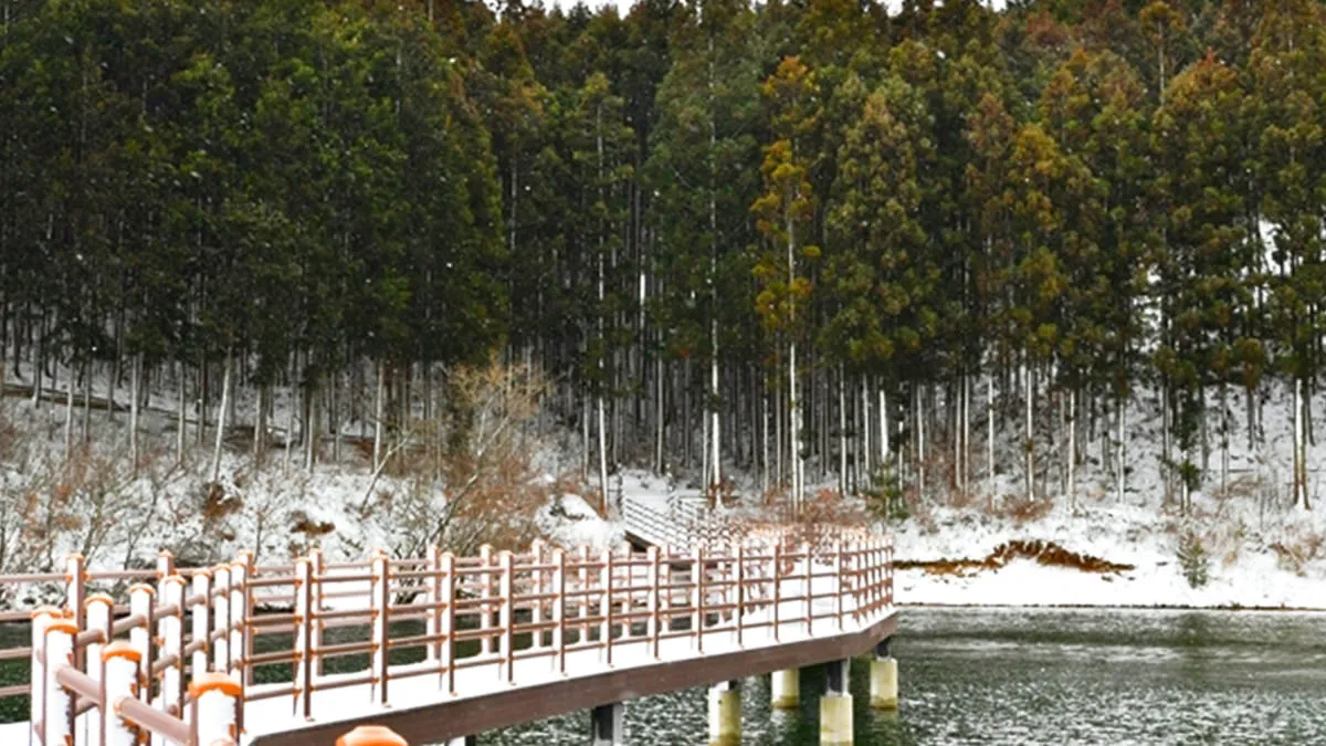축령산 편백숲 겨울 데크길 / 사진=장성군 문화관광