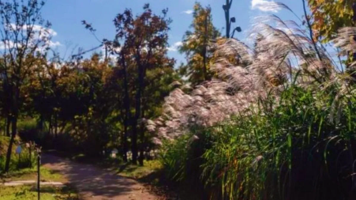 출처 : 서울식물원 (서울식물원 풍경)
