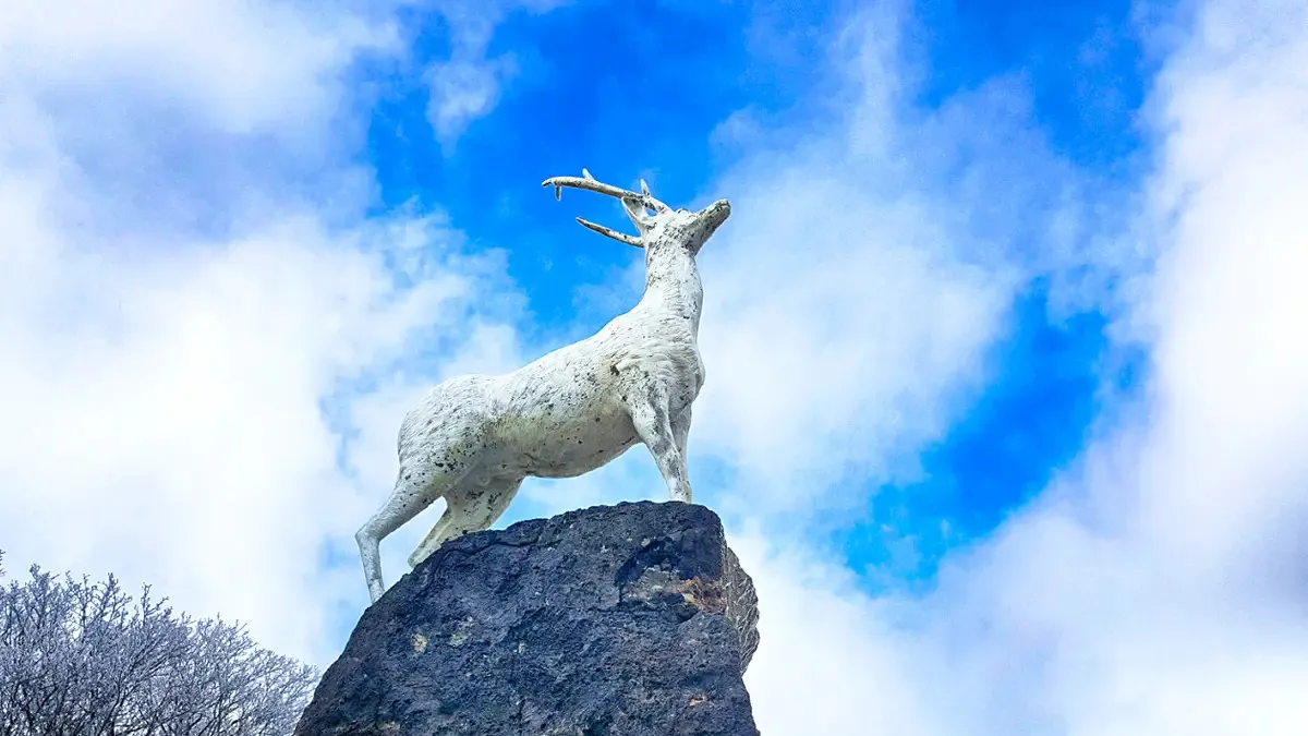 한라산 1100고지 백록상 / 사진=한라산 1100고지