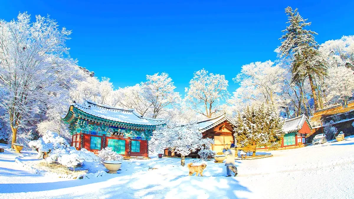 공주 마곡사 설경 / 사진=한국관광공사 이중일