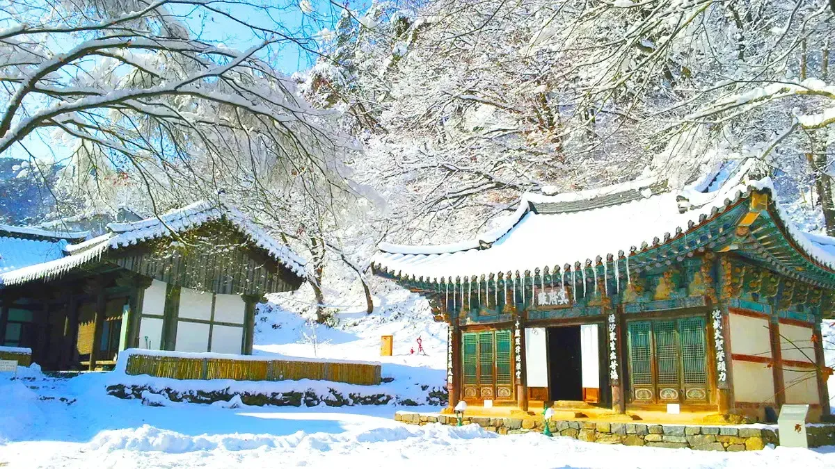 마곡사 겨울 풍경 / 사진=마곡사