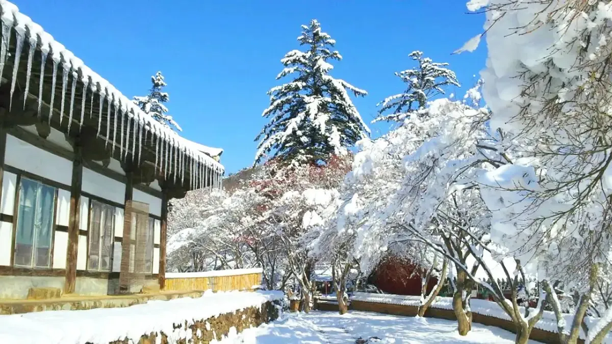 공주 마곡사 / 사진=마곡사