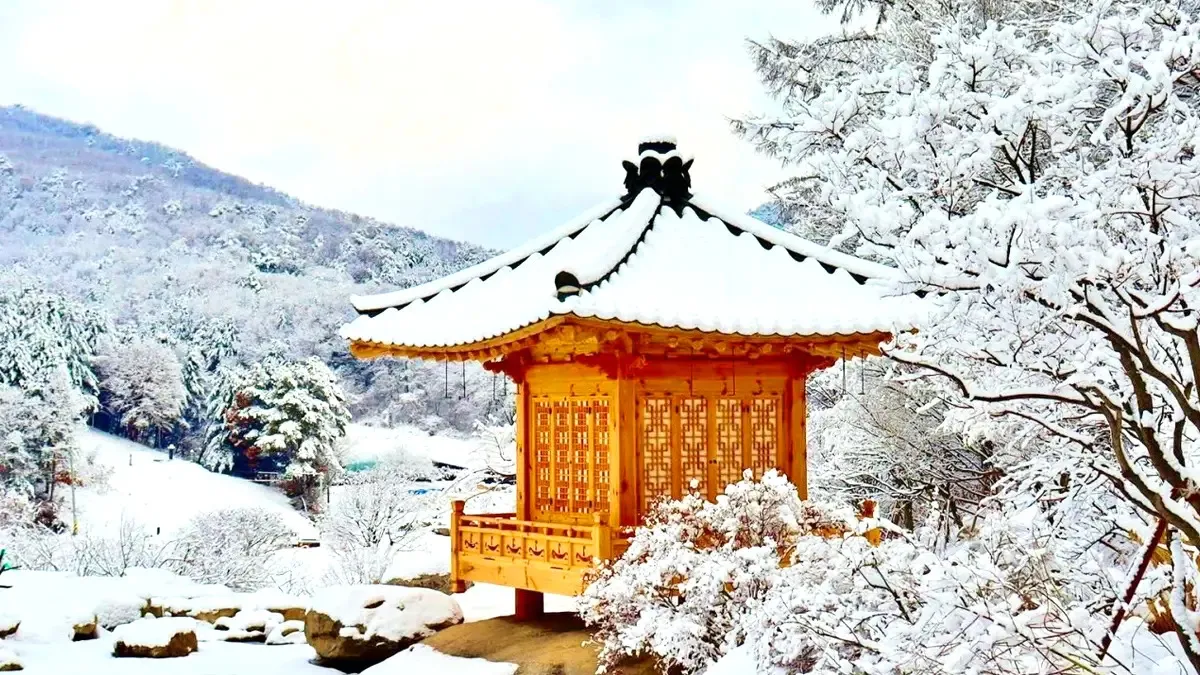 메덩골정원 겨울 / 사진=메덩골정원 공식 SNS