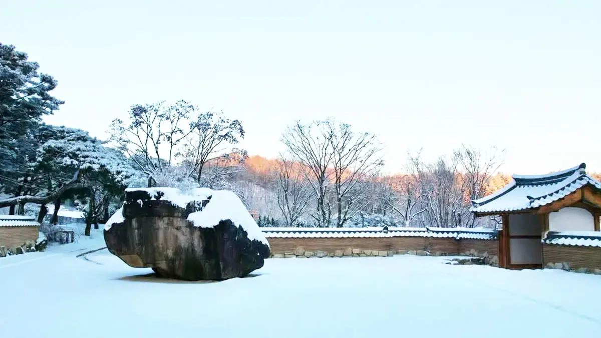 메덩골정원 모습 / 사진=메덩골정원 공식 SNS