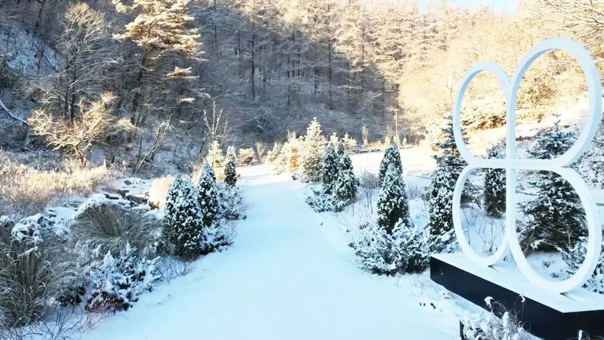 메덩골정원 풍경 / 사진=메덩골정원 공식 SNS