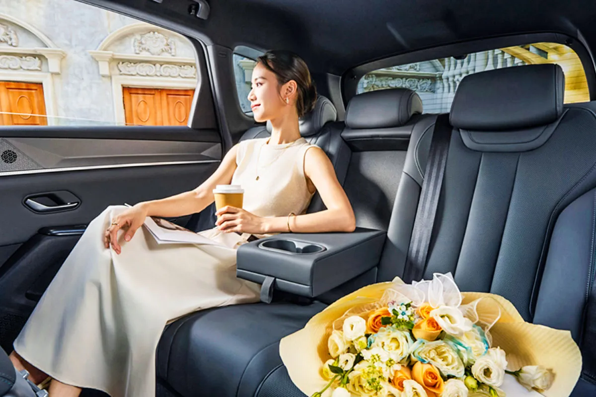 쏭 프로 DM-i - 출처 : BYD