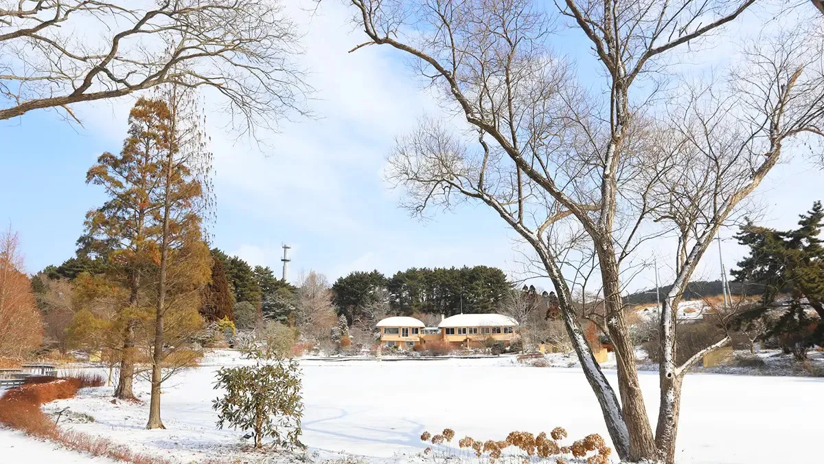 천리포수목원 겨울 풍경 / 사진=천리포수목원 홈페이지