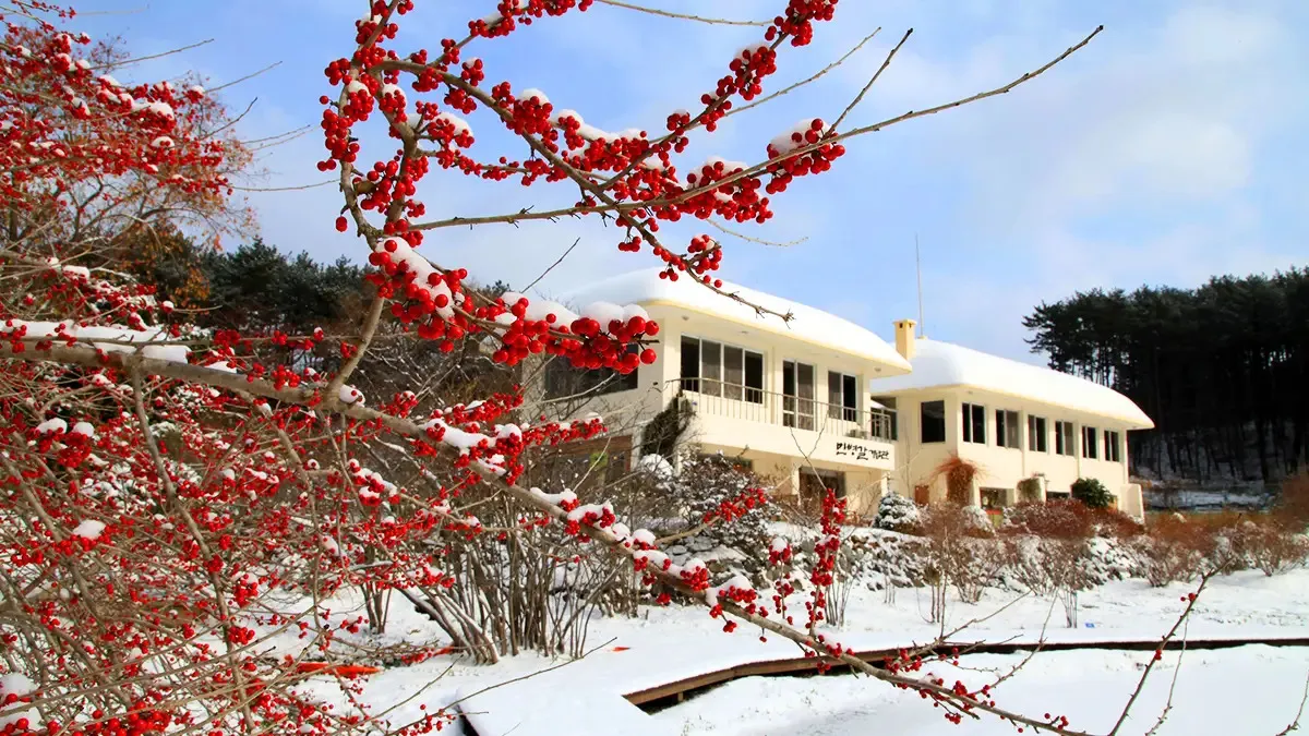 천리포수목원 설경 / 사진=천리포수목원 홈페이지