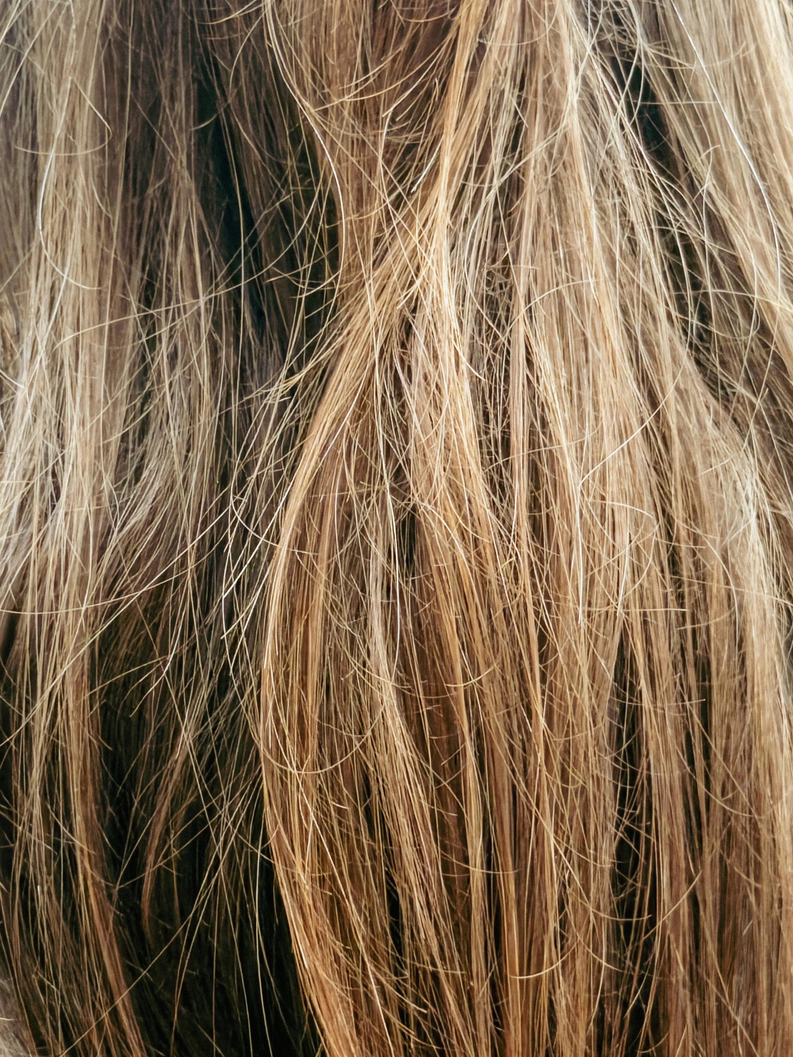 사진 = unsplash.com