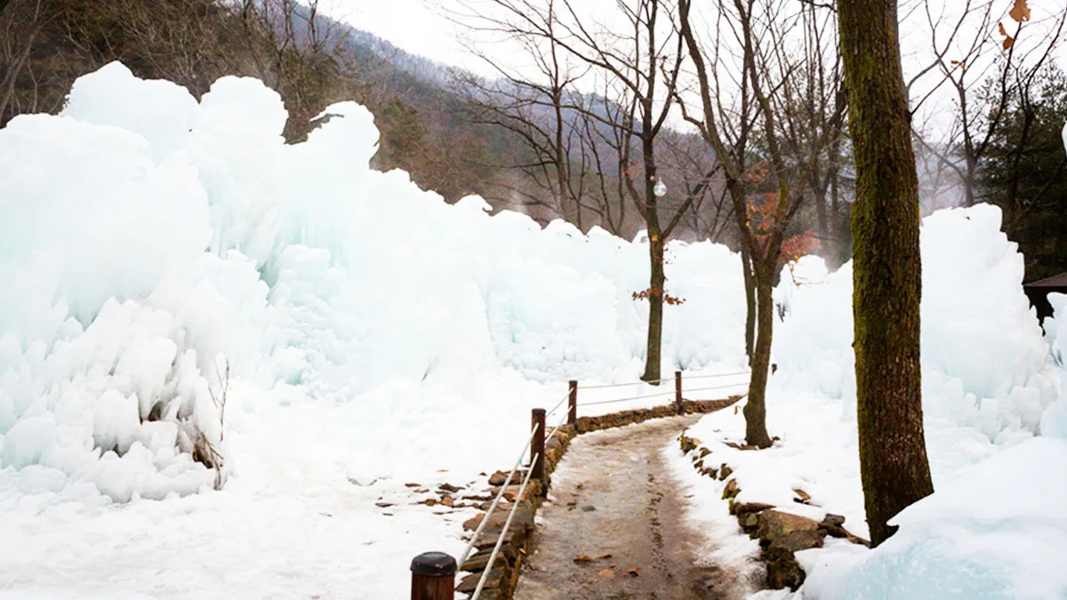 상소동 산림욕장 / 사진=대전관광공사 공식 블로그