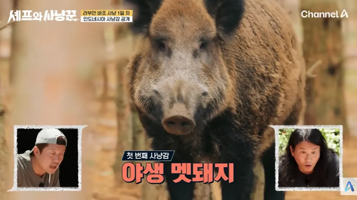 채널A ‘셰프와 사냥꾼’ 방송화면