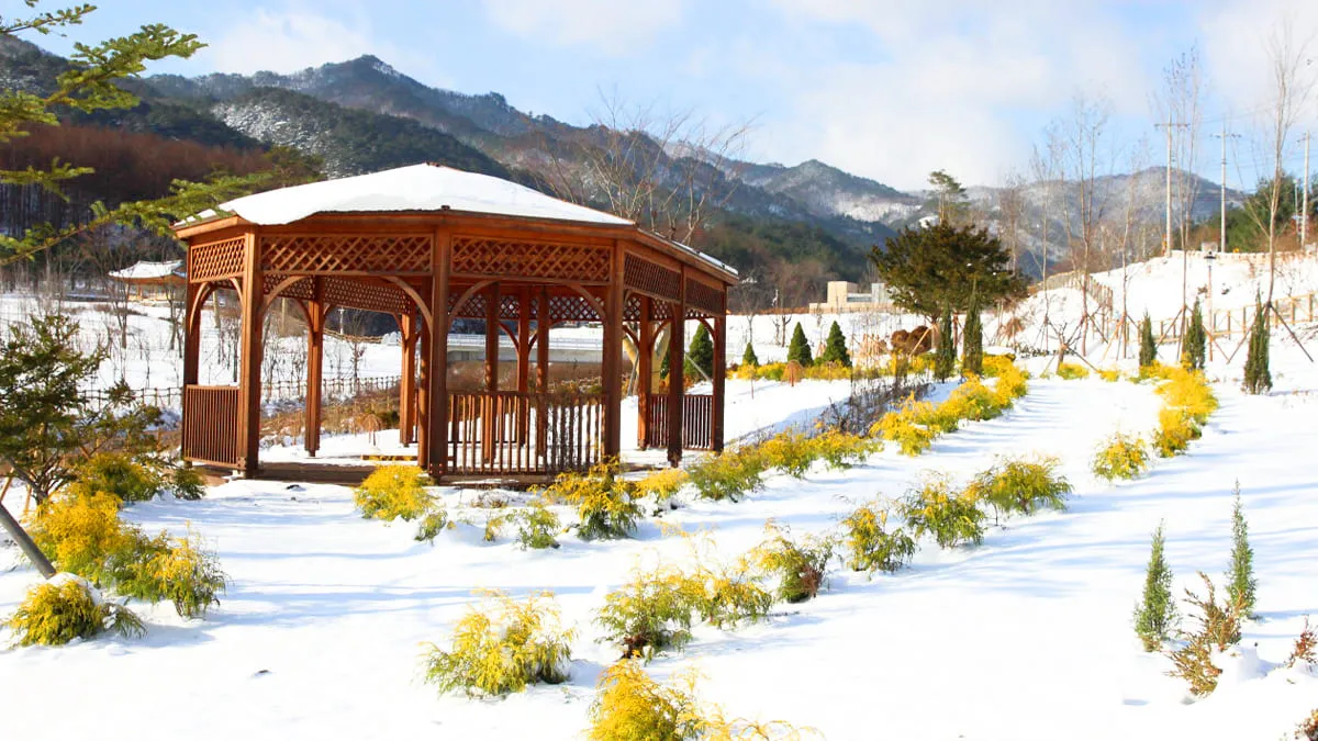 국립백두대간수목원 겨울 풍경 / 사진=국립백두대간수목원
