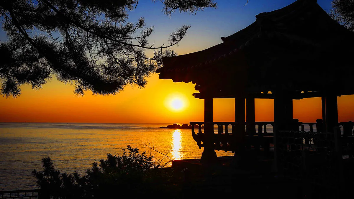 천학정 일출 / 사진=한국관광공사 강원지사 모먼트스튜디오