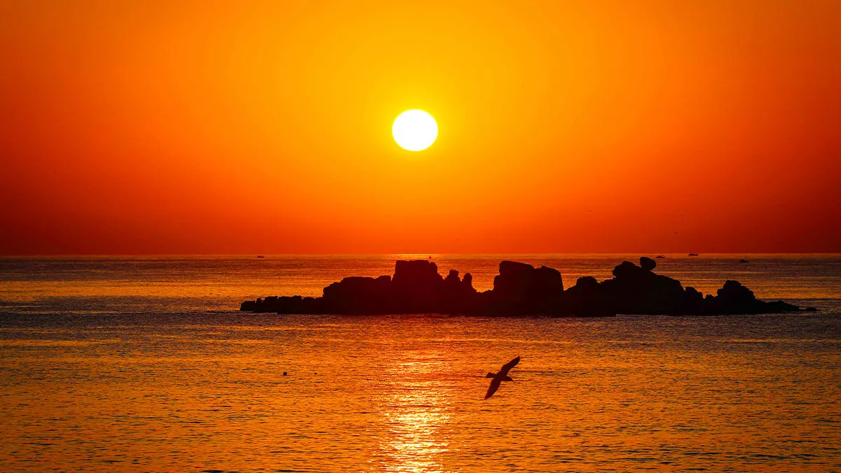 일출 명소 천학정 / 사진=한국관광공사 강원지사 모먼트스튜디오