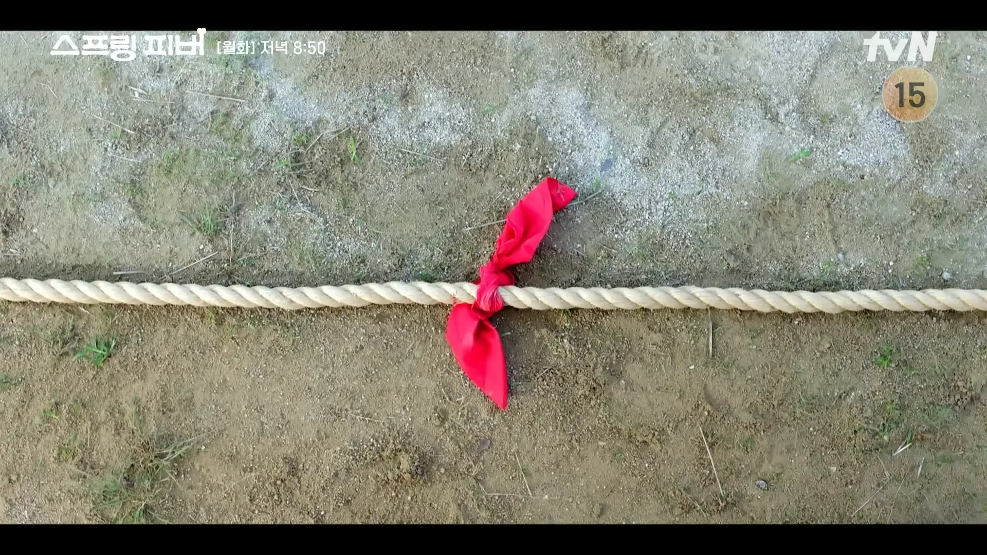 ‘스프링 피버’ 5회 방송화면. tvN