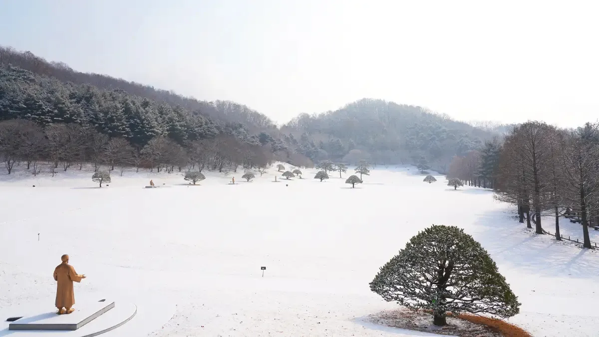 청남대 겨울 풍경 / 사진=청남대