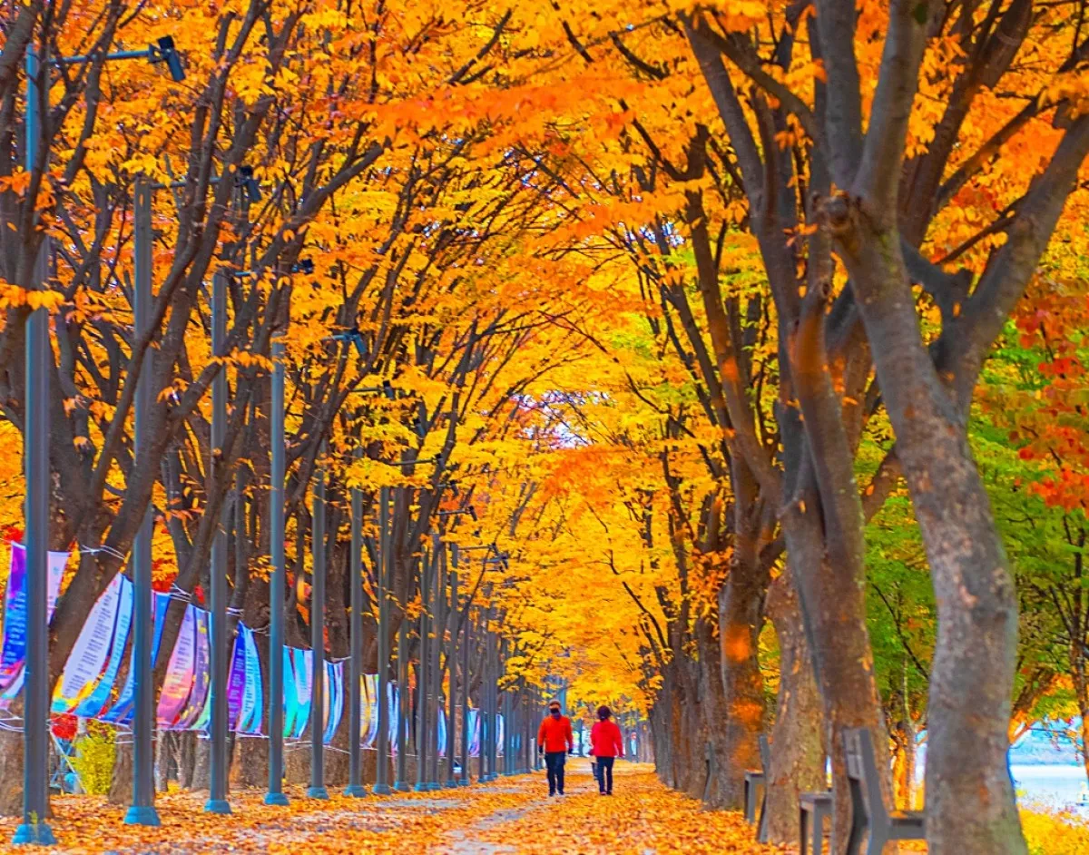 사진=최돈식. 공지천의 가을. 2021 춘천관광사진전