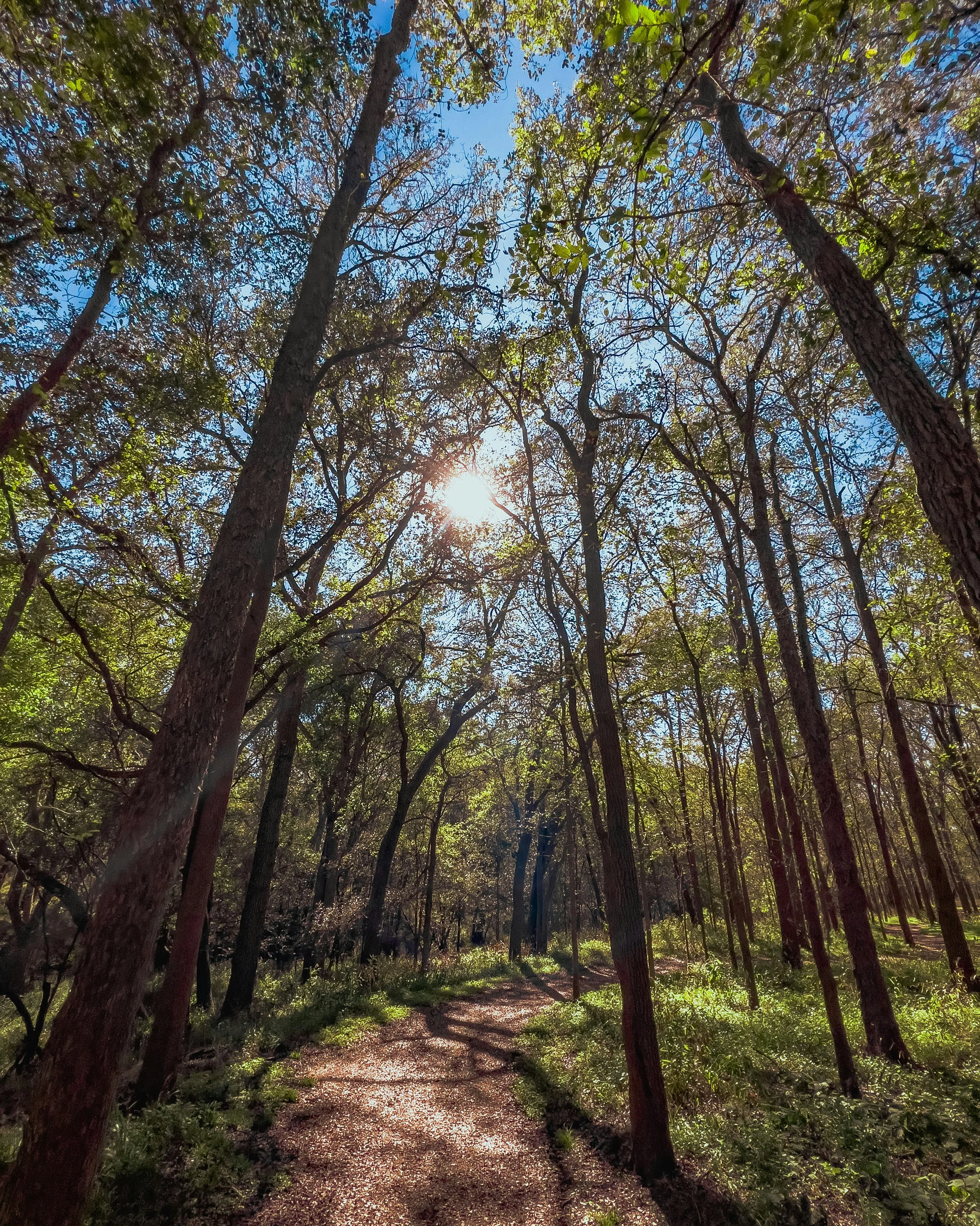 사진 = unsplash.com