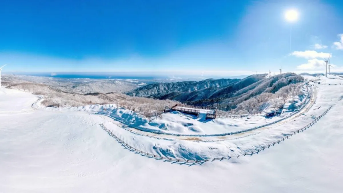 출처 : 한국관광공사, 촬영 라이브스튜디오 (대관령 삼양라운드힐)