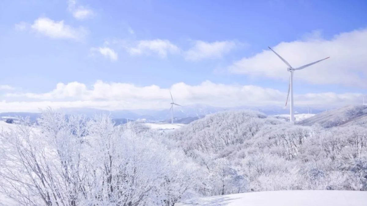 출처 : 한국관광공사, 촬영 라이브스튜디오 (대관령 삼양라운드힐)