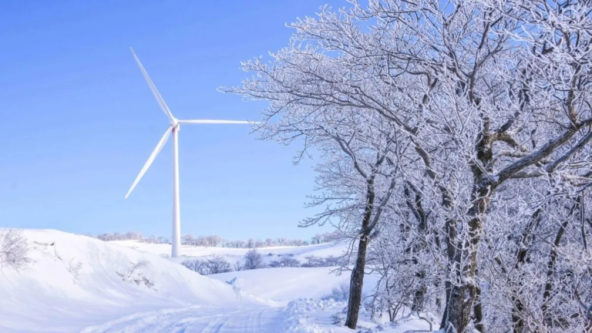 출처 : 한국관광공사, 촬영 라이브스튜디오 (대관령 삼양라운드힐)