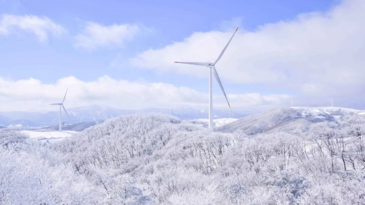출처 : 한국관광공사, 촬영 라이브스튜디오 (대관령 삼양라운드힐)