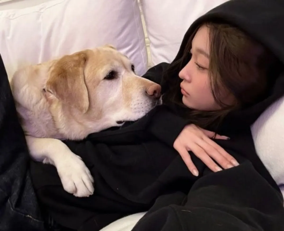 애니 인스타그램 캡처