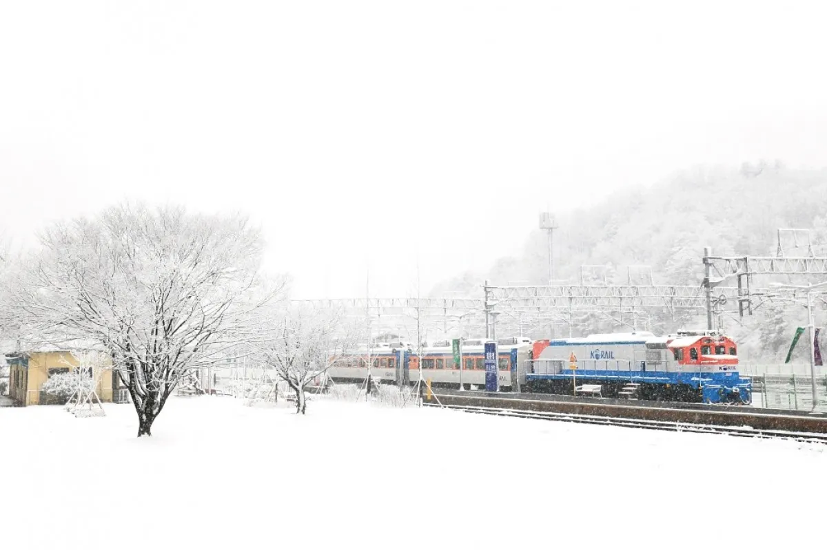 사진=박상진. 김유정역 설경. 2016 춘천관광사진전