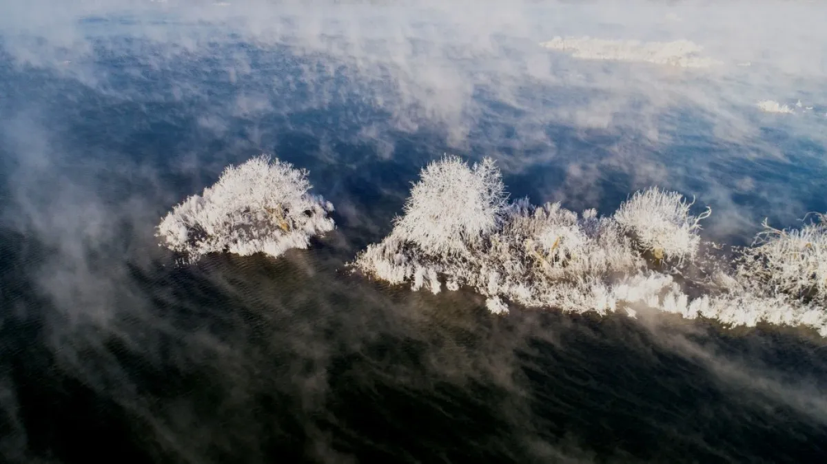 사진=권희연. 상고대 꽃봉우리. 2018 춘천관광사진전