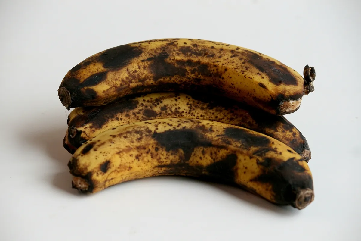 익은 바나나, 바나나 반점