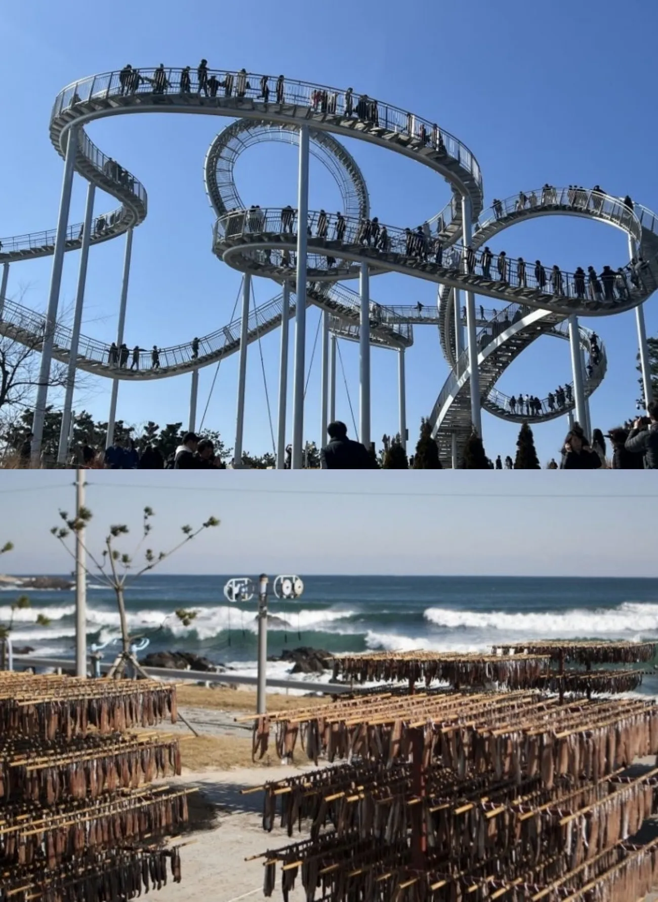 사진=포항시제공