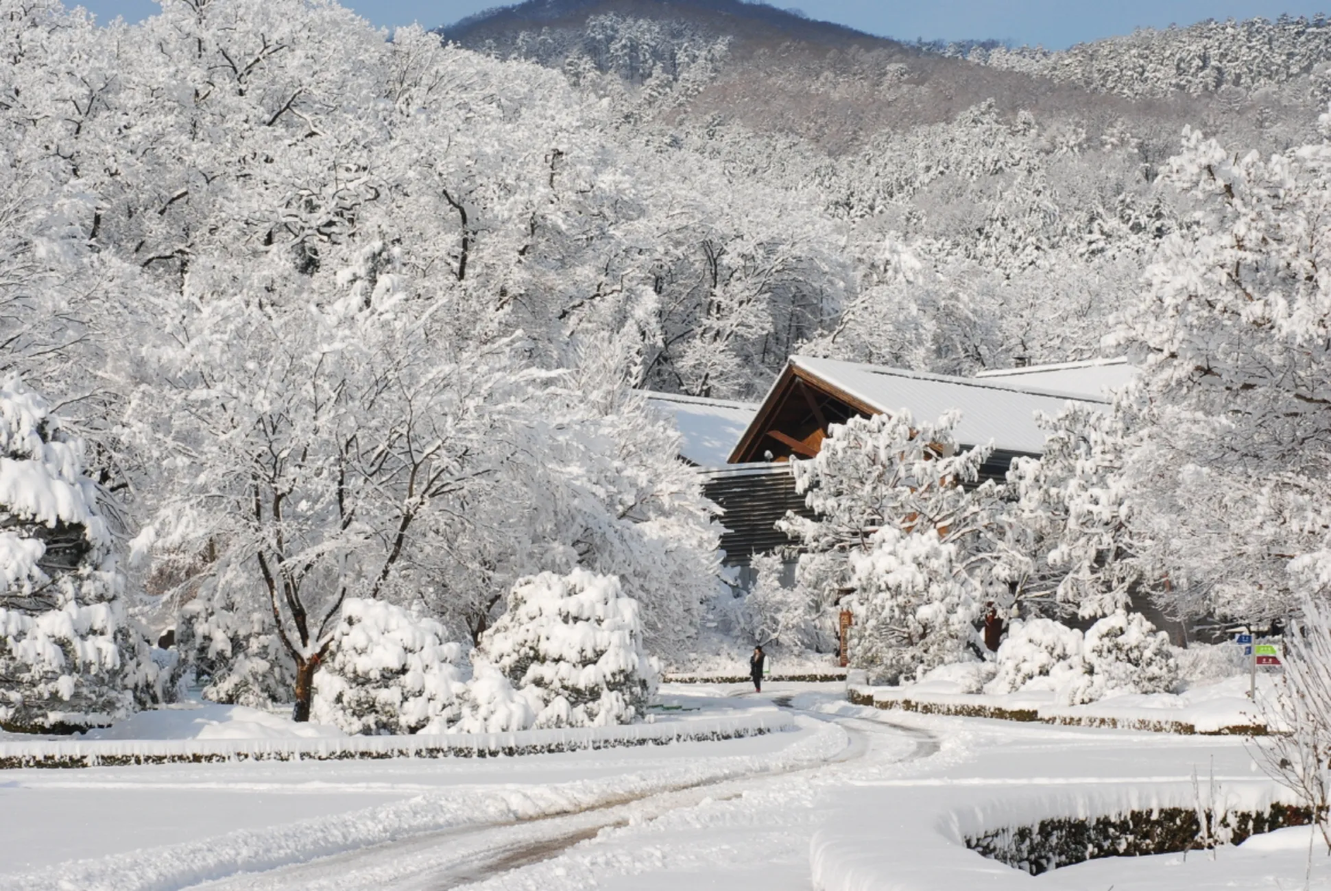 사진=국립수목원