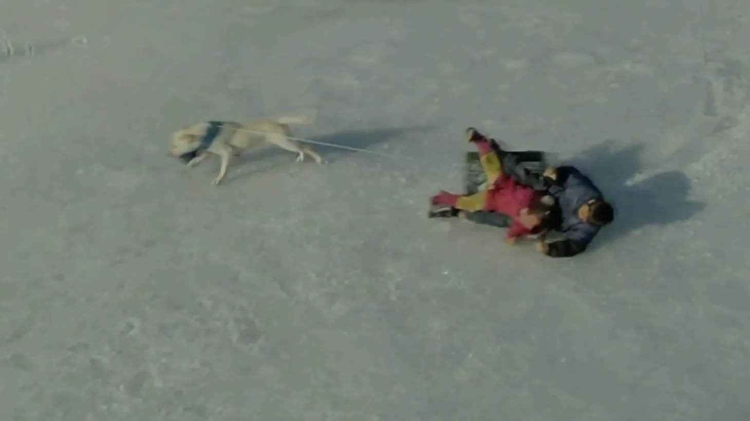 배우 김향기가 출연한 영화 ‘마음이’ 한 장면. 쇼박스