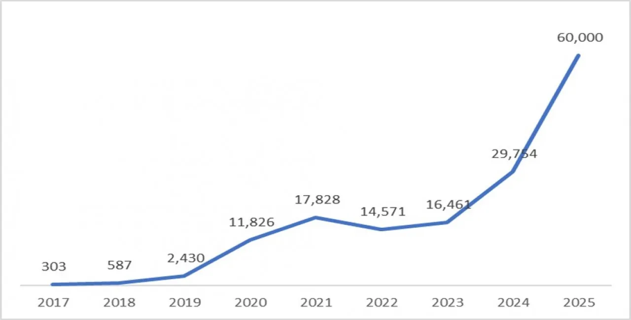 테슬라 국내 판매량 그래프