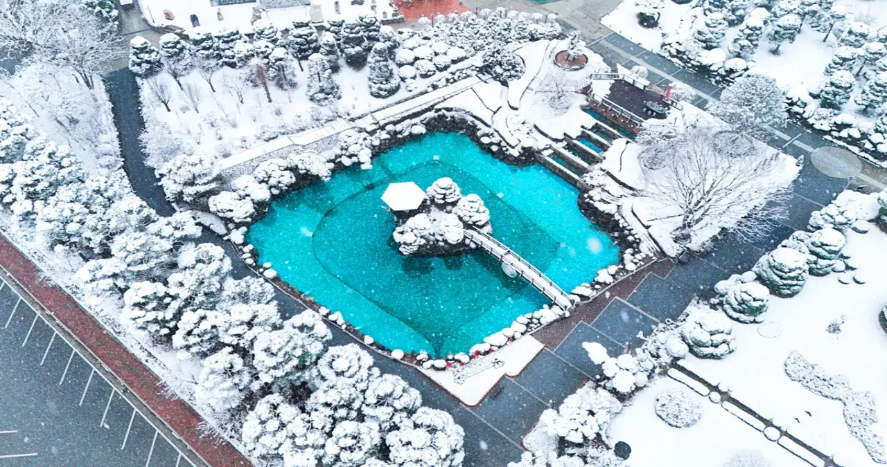 베어트리파크 설경 / 사진=베어트리파크