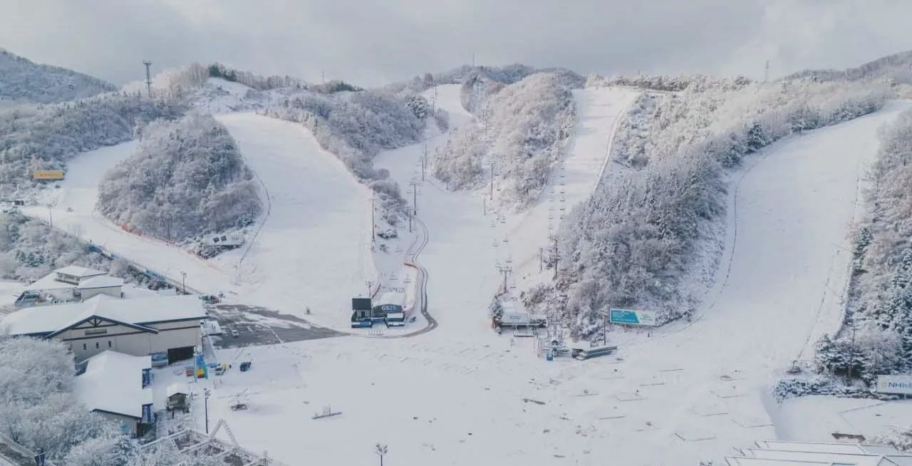 엘리시안 강촌 슬로프를 내려다본 전경 이미지. [ⓒ네이버플레이스 엘리시안강촌스키장]