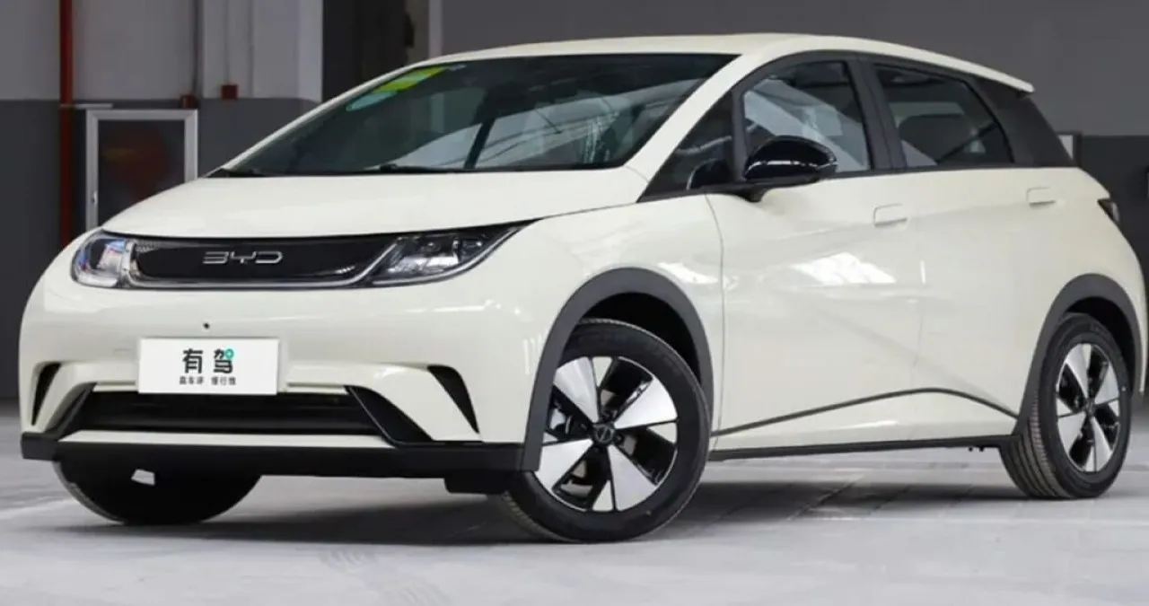 BYD 돌핀 / 사진=온라인 커뮤니티