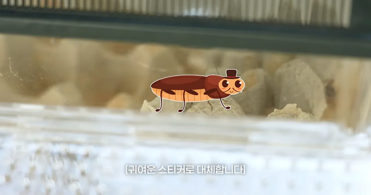 유튜브 채널 ‘자유부인 한가인’ 브라이언.