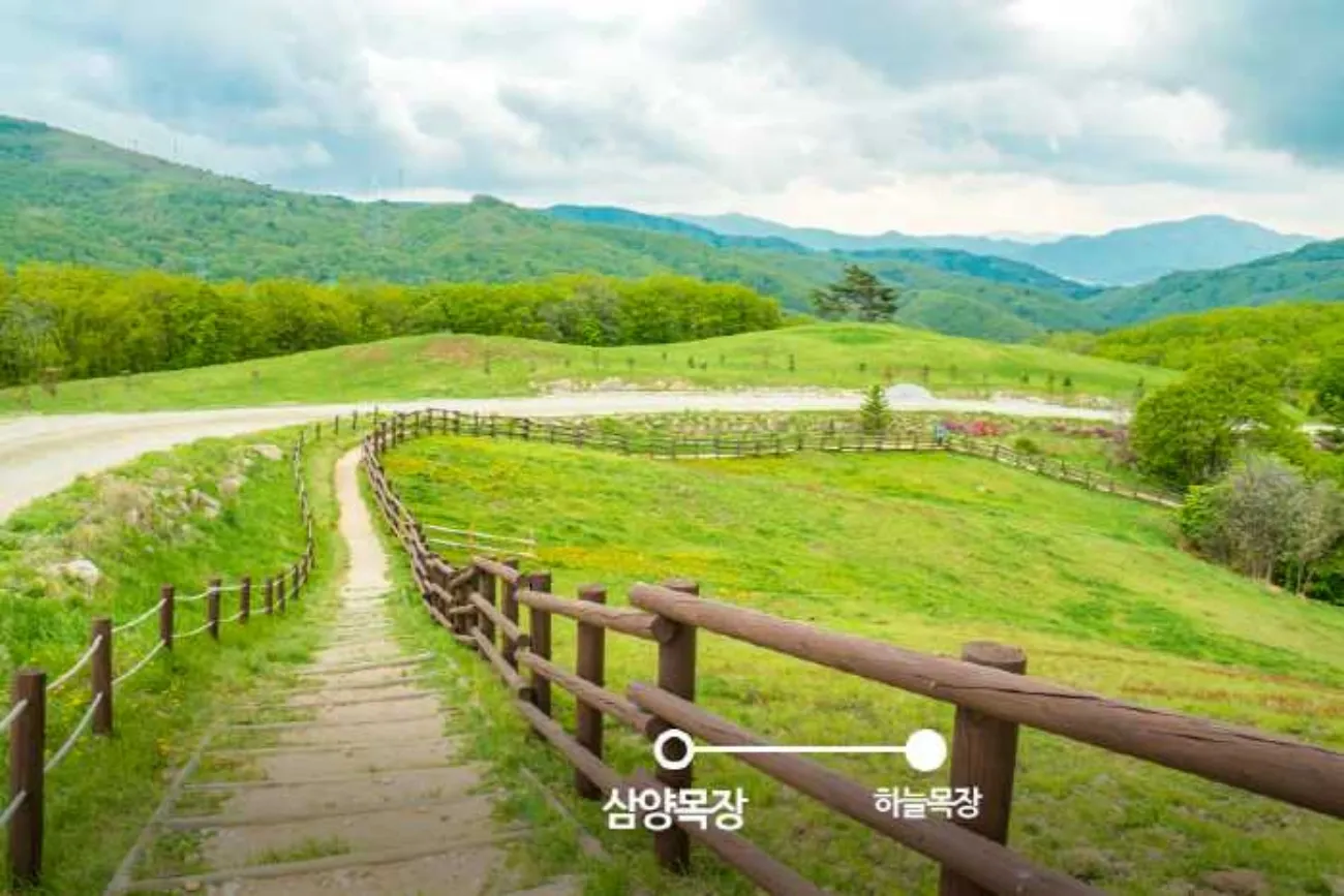 사진=평창군 제공