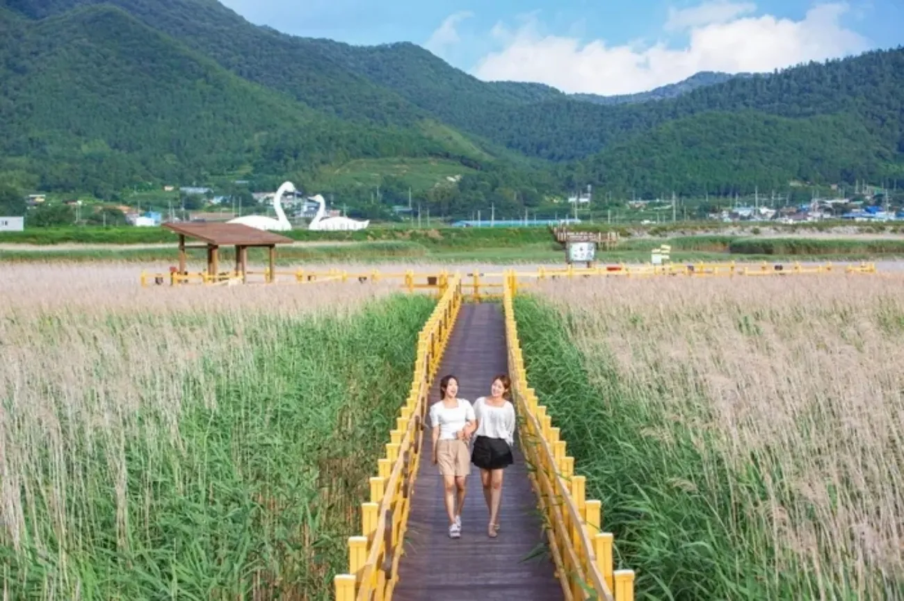 사진=강진군 제공