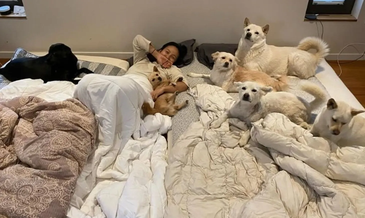 사진=이효리 SNS 캡처