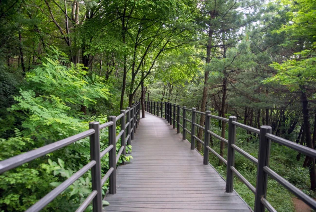 사진=서대문구청