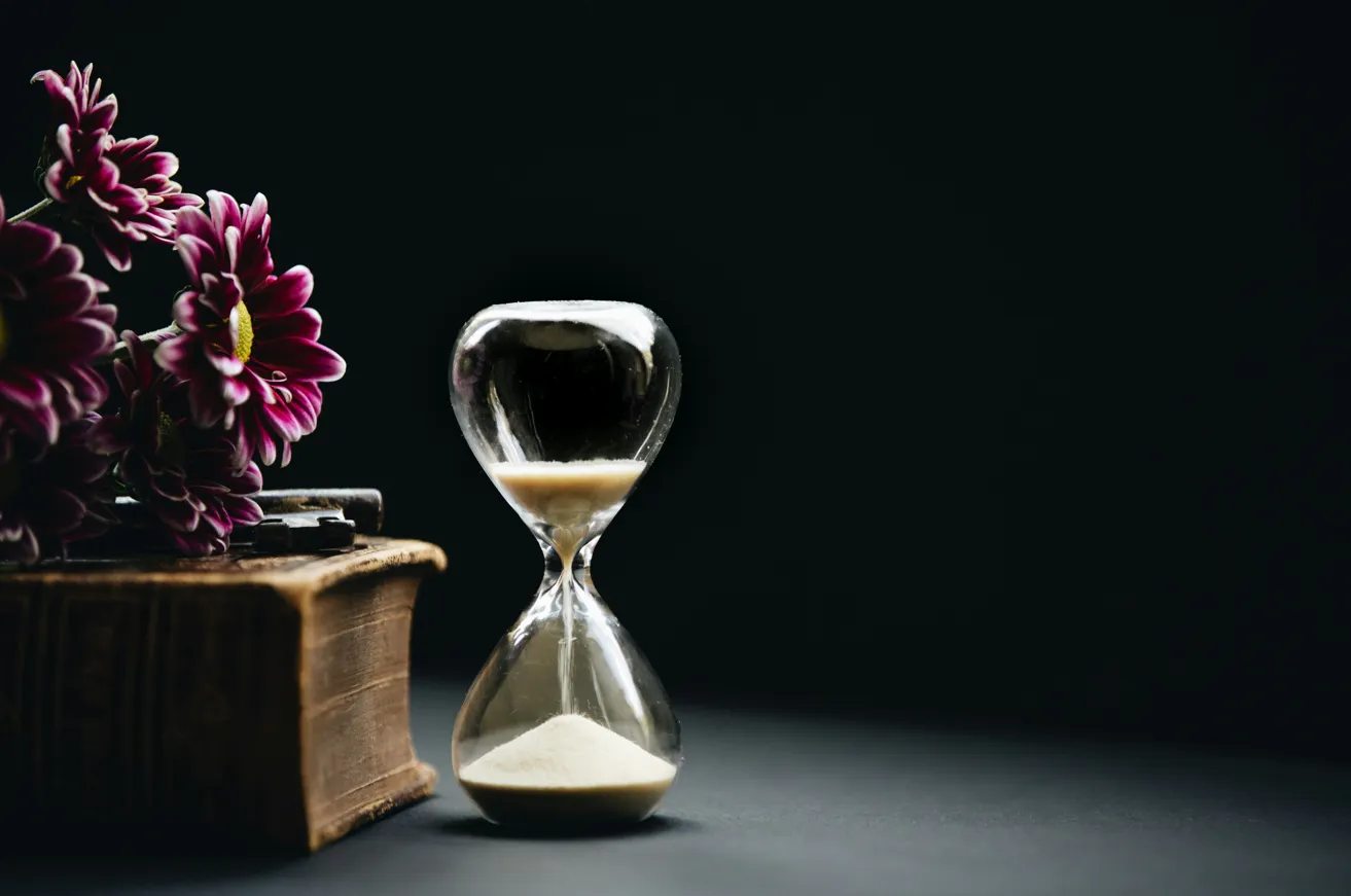 사진 = unsplash.com