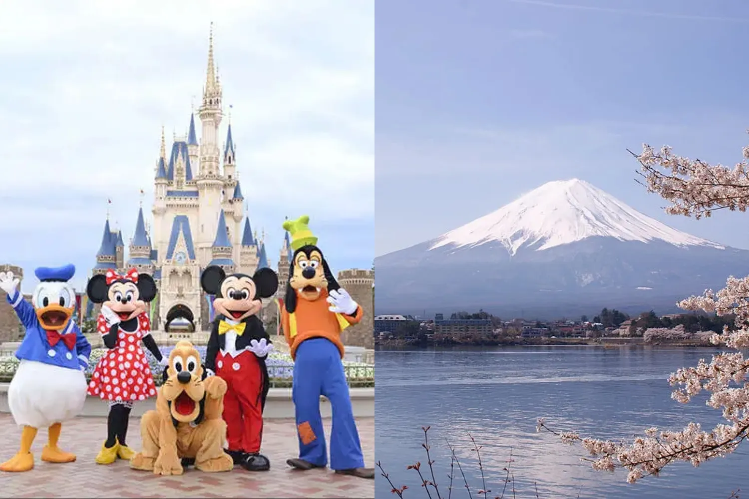 사진=디즈니, 후지산
