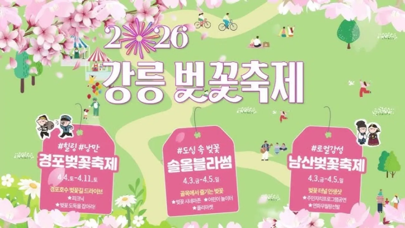 사진=강릉벚꽃축제