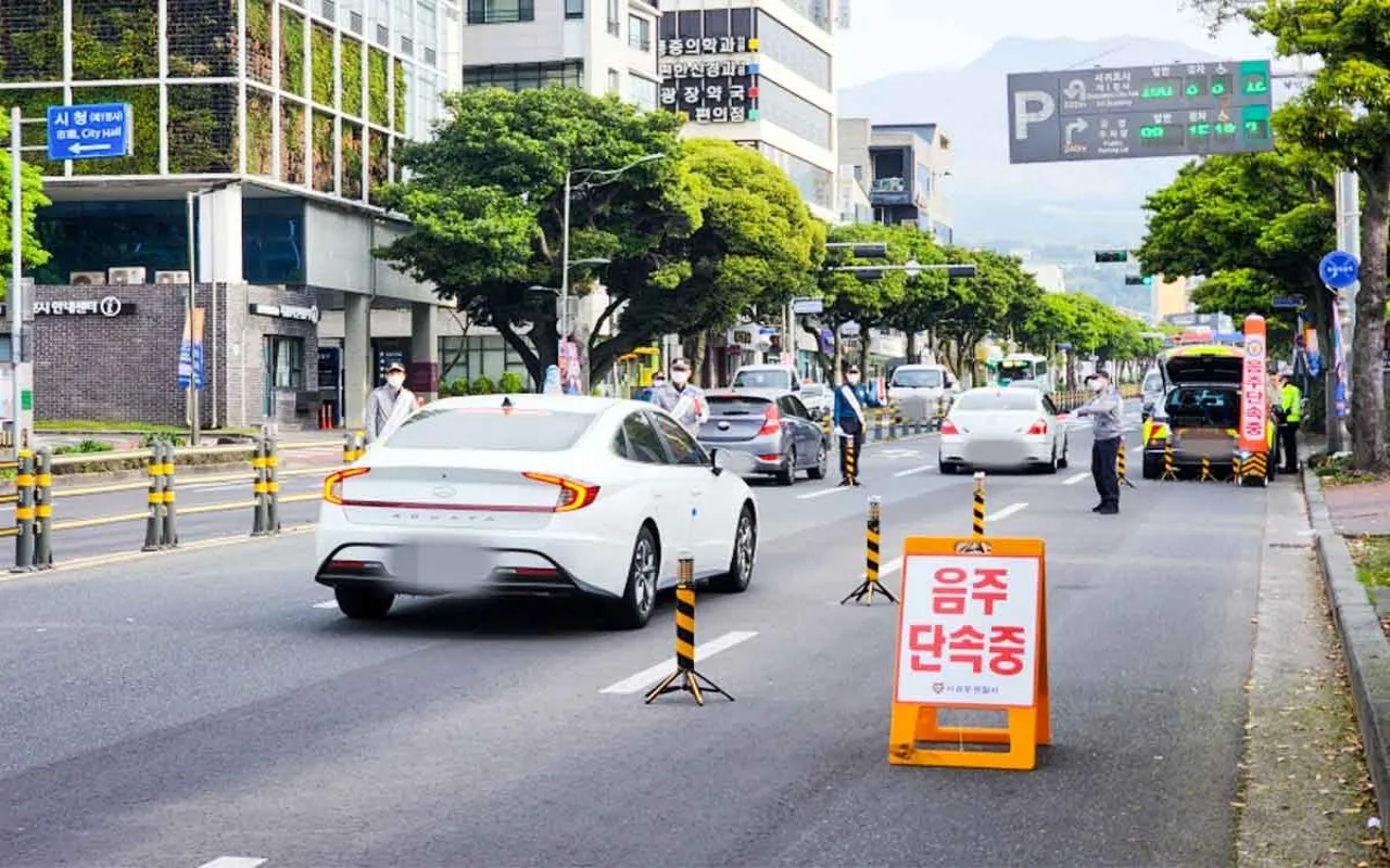 단속 예시 - 출처 : 서귀포경찰서